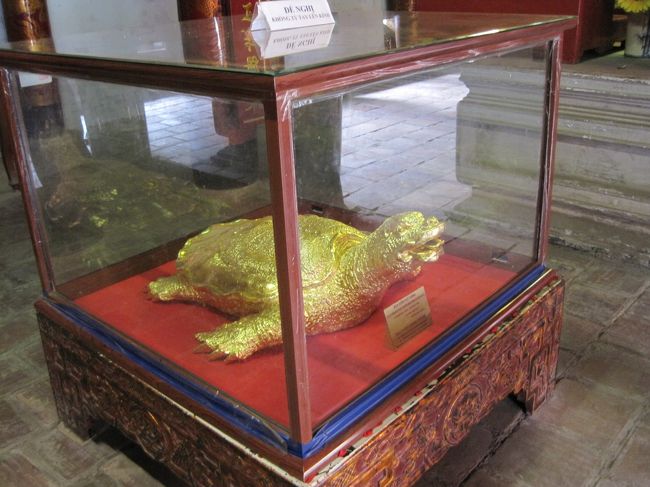 この 金亀 は、、、   覚えてませんm(__)m