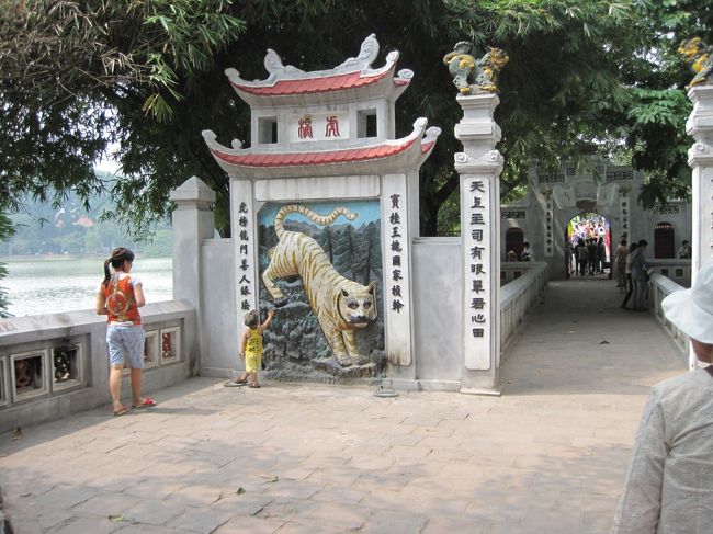 体は虎ですが、顔は虎!?