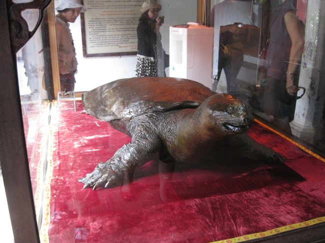 この亀の剥製は、ホアンキエム湖の主だったそうです。<br />スッポンの容姿でした。