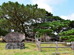 〔 五枝の松 〕

「上江洲家」からもそんなに遠くないところに、「五枝の松」という高さ約６メートル・幹回りが約４.３メートルにもなるリュウキュウマツの樹があります。
18世紀初頭に植えられたと伝えられているそうで、国の天然記念物にも指定されています。