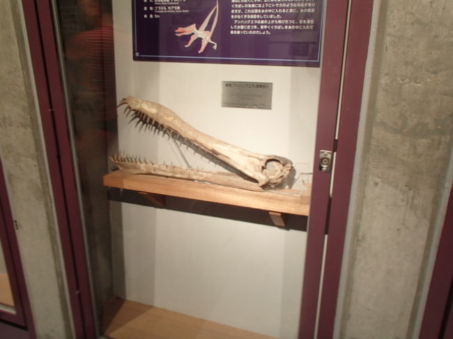 恐竜王国 中里 神流 上野 南牧 群馬県 の旅行記 ブログ By せんべい屋さん フォートラベル