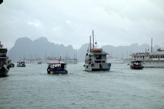 ハロン湾クルーズ<br /><br />　船団！って感じで、たくさん出港してました