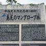 雨女旅に出る②うりずんの宮古島