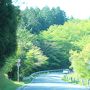 新緑の九州3泊4日ドライブ旅行　（3日目：ちょっとだけ由布院）