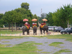 当方は暑い中自転車で散策したが、象に乗って散策する人もいた。