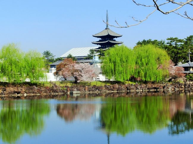 ？十年ぶりに自転車に乗ってみたら、なんとバランス感覚が戻ってこなくて、この荒池近くまで来てもアタフタとして安定せず。<br /><br />素晴らしい風景だけはカメラに収めた。