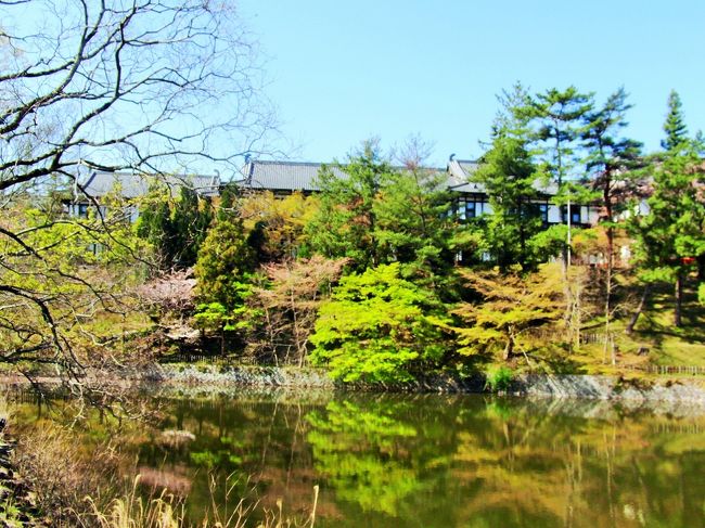 荒池から、奈良ホテル方面を臨んだもの。