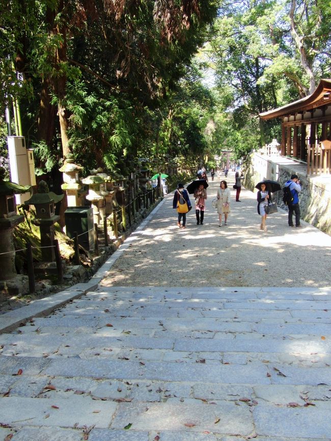 人に会うこともなかった「万葉植物園」を出て、春日大社に向かった。<br /><br />ゆるやかな上り坂で、自転車ではキツかった。