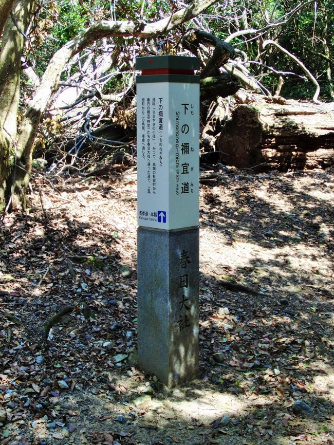 「ささやきのこみち」は、正式には「下の禰宜道」というようだ。