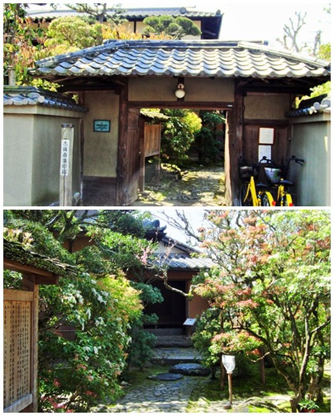 「ささやきのこみち」を抜けると、すぐに行き当たるのが「志賀直哉旧居」である。<br /><br />写真上は道路から、下は門を潜ってから。<br />ここでもやはり、馬酔木の花が満開だった。