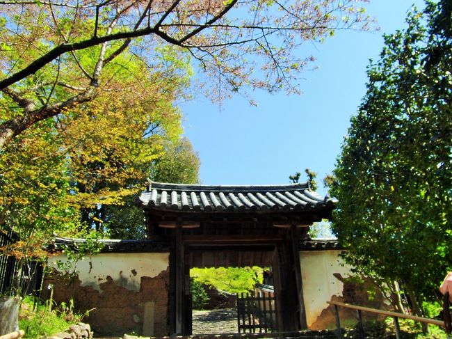 昔訪ねた時には、階段がこんなにあるという記憶がないので、おそらくそれは若い時だったから、苦にならなかったのだろう。<br /><br />ひとつうれしかったのは、この山門の両サイドの白壁が、昔と変わらず朽ち果てた感じを残していたことだ。<br />この雰囲気だけは昔のままである。<br /><br />