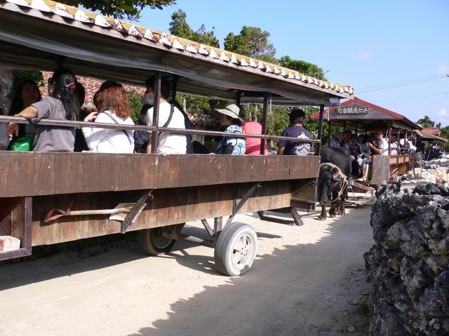 【竹富島　水牛車】<br /><br />　竹富島を訪れる観光客の多くは、水牛車かレンタサイクルで島内を観光する。エブリマン氏も集落を散策していたら、三線と唄を聞きながら水牛車にゆられてのんびり観光している一団に出会った。 