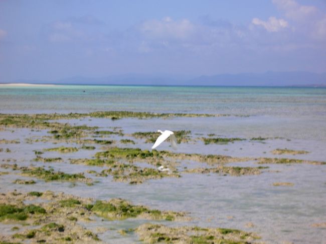 　西桟橋から海を眺めながら、浜辺に沿ってゆっくり歩いてみる。<br /><br />　昼間はとても静かだから、のんびりと綺麗な海の色と沖を行く船など見ながら、ゆったりした時間を過ごすのに、向いている場所だろう。
