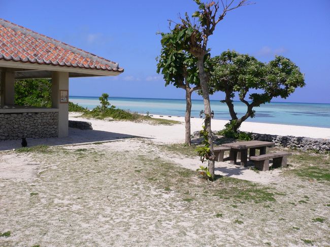 【コンドイビーチ】<br /><br />　西桟橋から海辺に沿って散策するエブリマン氏がたどり着いたのは、島の南西部にある、竹富島を代表するビーチ、コンドイビーチだった。