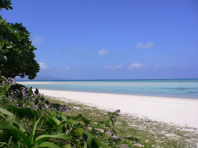 　真っ白な砂浜、エメラルドグリーンに広がる遠浅の海。まるで絵はがきのようにきれいな景色が広がる。流れが緩やかで波もほとんど立たないため、海水浴に適しているという。 <br />　ビーチいっぱいに広がる白い珊瑚の砂がまぶしく、沖までつづく浅瀬の海岸線の先に、西表島の遠景を望むことができる。