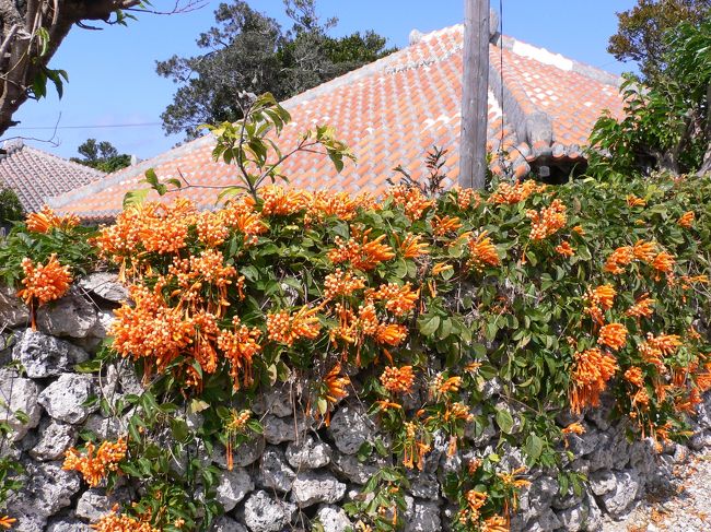 【竹富島の赤瓦】<br /><br />　「なごみの塔」のすぐそばの民家だが、花と赤瓦が美しい。 <br />　島民は昔ながらの町並みや文化を保存しようとする意識が非常に高く、「竹富島憲章」を制定している。<br /><br />　集落を囲む石垣は、グックと呼ばれ、ひとつひとつが職人の手により積まれ、台風などの強風から家屋を守るだけでなく、目隠しの役割も果たしている。