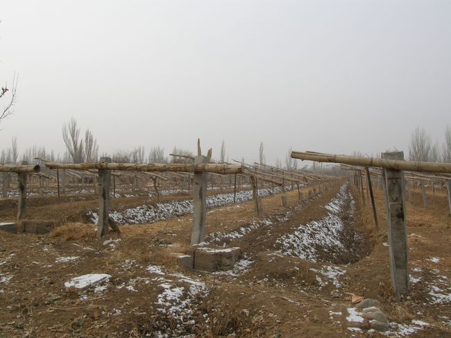 真冬は閑散としてる。。。<br />葡萄の季節はキレイだろうなぁ