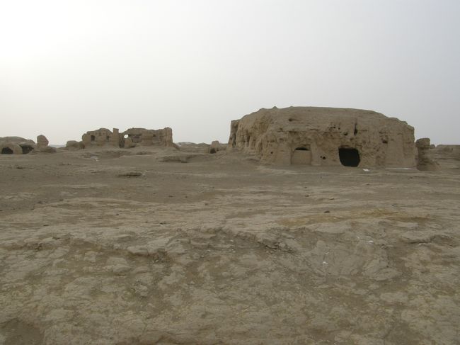 めちゃ寒い！！！