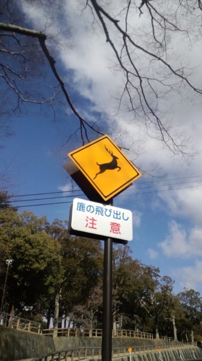 今回は今年に入りまだまだ寒い２月頃、ちょっぴりどっぷり日本に浸かる旅を