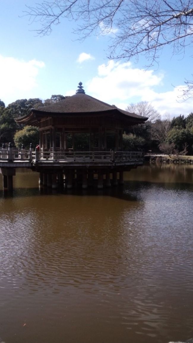 これは皆様ご存知、浮見堂<br /><br />この頃はフォートラ様の事を知らなかったので写真はあまりありません