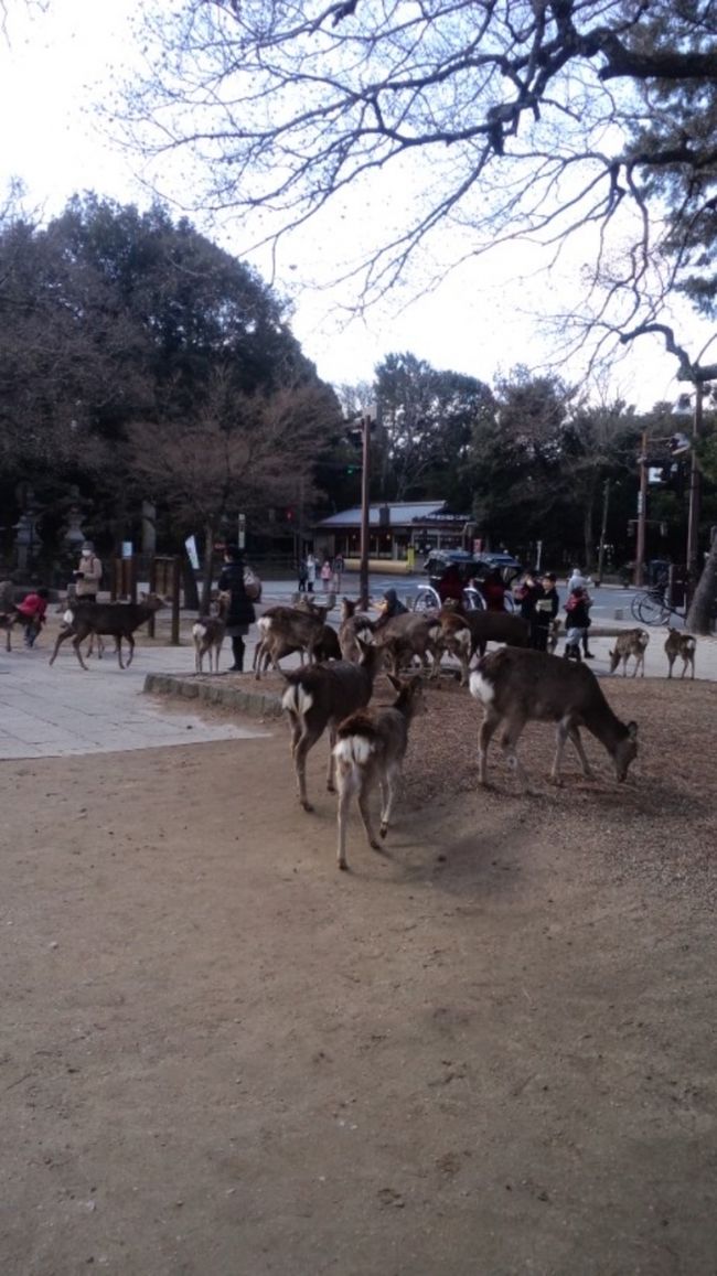 目指す楽園にたどり着くまでには、<br />楽ばかりではありません<br /><br />こちらはそれを濃縮した、有り難い場所