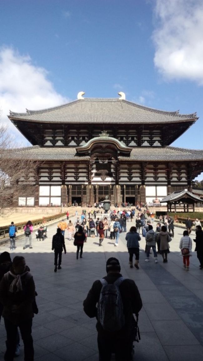 このような、ちょっぴり困難を経てこそ<br />あの大海原のような穏やかな仏像に逢えます