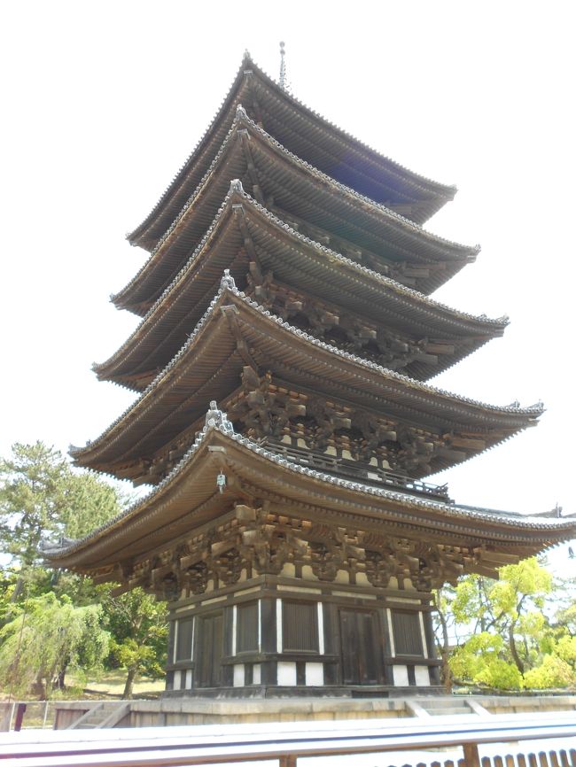 興福寺五重塔。
