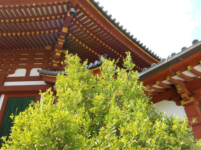 興福寺南円堂。