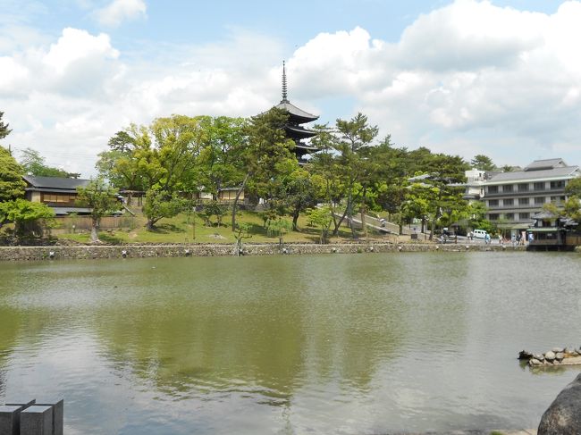 猿沢池から見る興福寺五重塔。