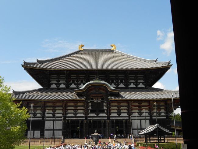 大仏殿は小学生で一杯でした。私は塀の外から拝観。