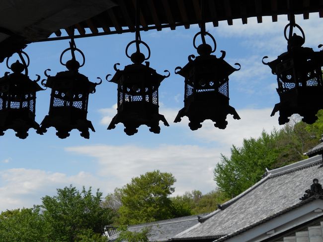 釣燈籠が幻想的です。