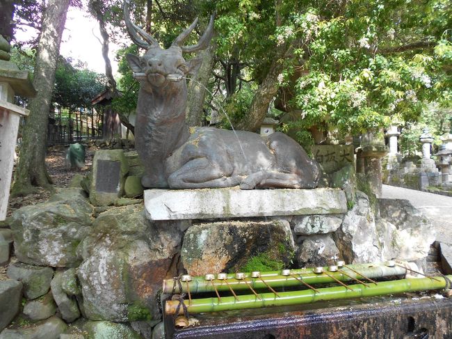 春日大社へ。まず手を清めます。