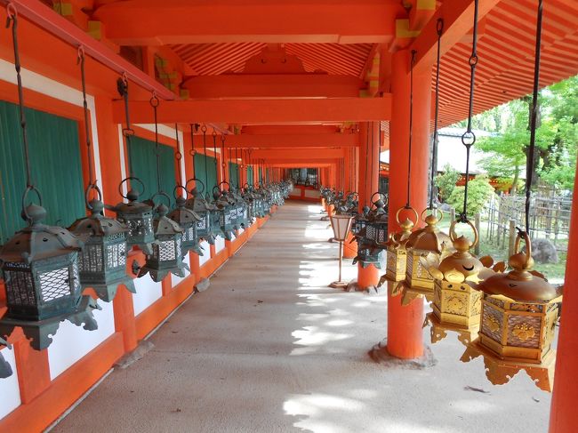 釣燈籠が一杯。