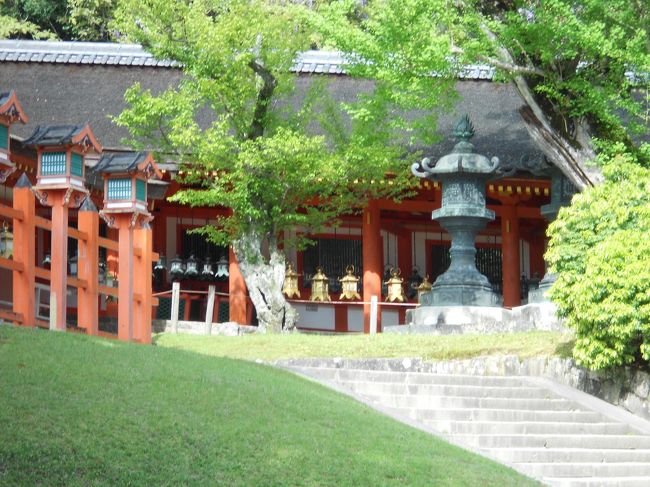 春日大社本宮内へ。