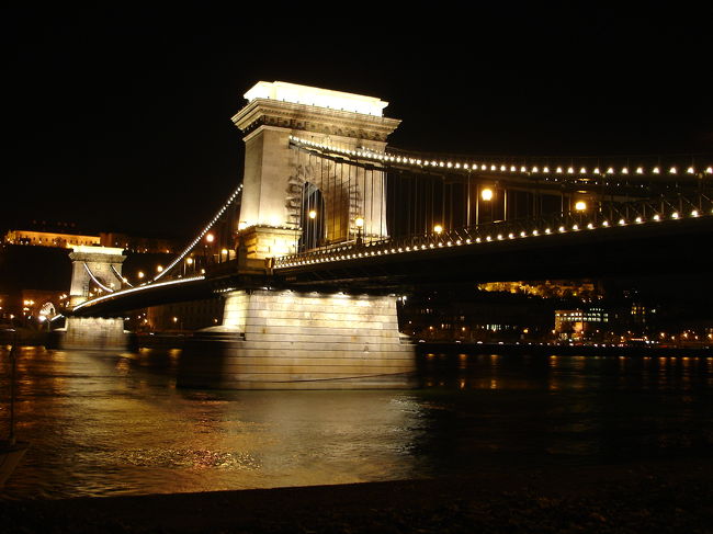 夜のくさり橋はお見事でした！
