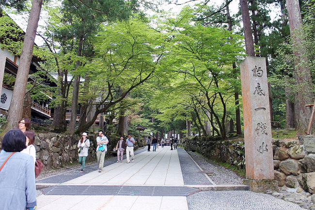 これから境内に入ります。