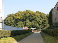 三条通りには古墳もあるんです。開化天皇陵と伝わる前方後円墳。街中に普通に大きな古墳があるあたり、奈良っぽいです。