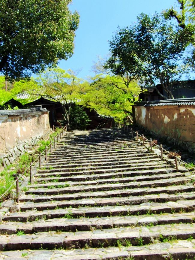 この両側の朽ちた壁を見ていると、歴史の狭間をすり抜けていった遠い時代への思いが満ちてくる。