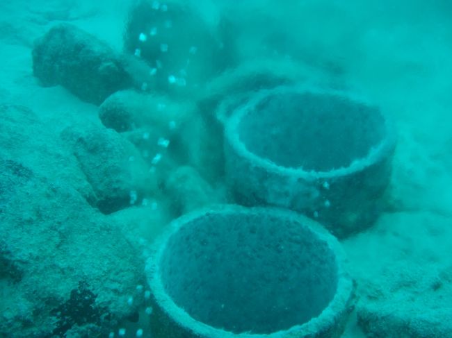 海底温泉。硫黄くさいらしいです。