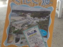 むら咲むらからすぐのＧＡＬＡ青い海へ
映画「てぃだかんかん」に出てきたさんご畑を見学に来ました。