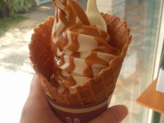 塩キャラメルソフト

歩き疲れた身体をクールダウン。
美味しかった〜。