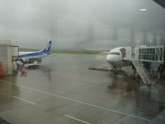 しかし、石垣空港は雨・雨・雨でした。