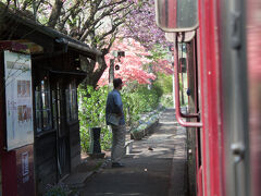 沢入駅のホームには花が綺麗に咲いていました。
この花と電車を正面から撮りたかった