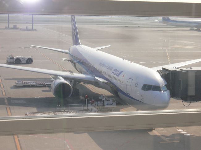 今回もＡＮＡマイルをスカイコインに替え　航空券を買ったので３万円そこそこ。<br />８時４５分発と言う日本出発では経験のない早さで　ほとんど寝ていません。<br />朝日を浴びて準備中のANA機<br />空港のどこかにオバマさんのエアホース１も止まってるはず