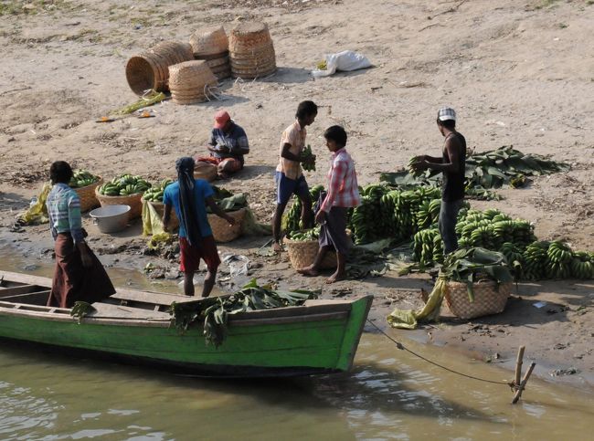昼食のため船に戻る。川辺は忙しい。