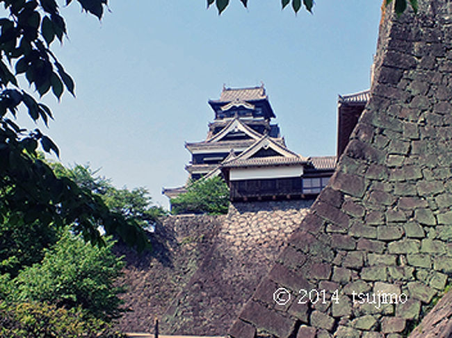 「二様の石垣」付近から見る、大天守閣。