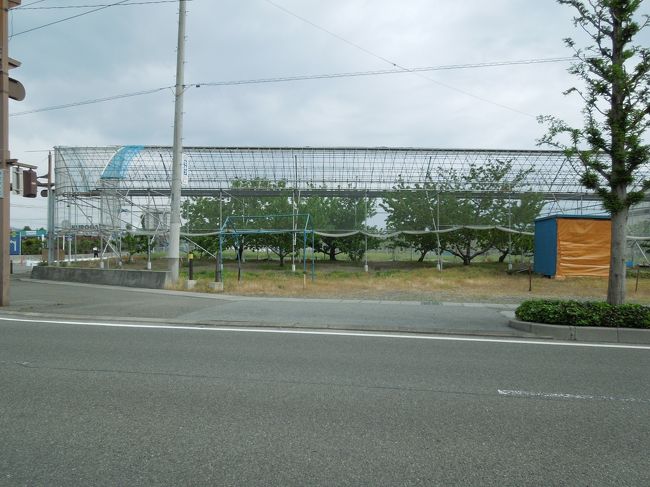 サクランボのハウスを横目に見ながら（6月になったら来るね）次の温泉に向かいましょう。<br />