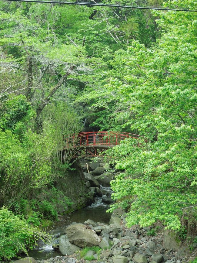 赤い欄干と新緑