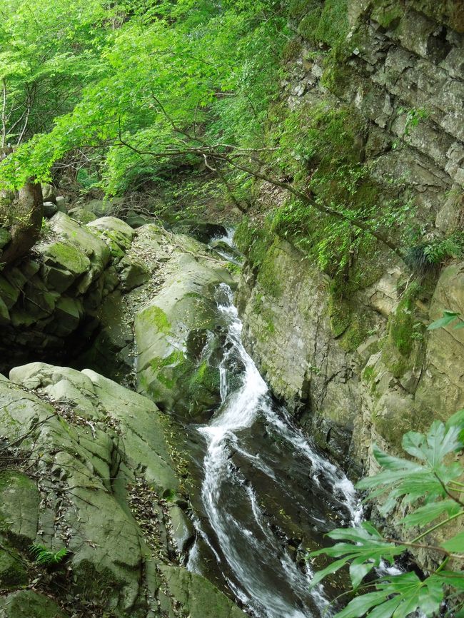 新緑を岩肌を流れ落ちる滝