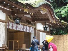 ここでも一応手水で禊をし、狭井神社にてピチッと参拝。